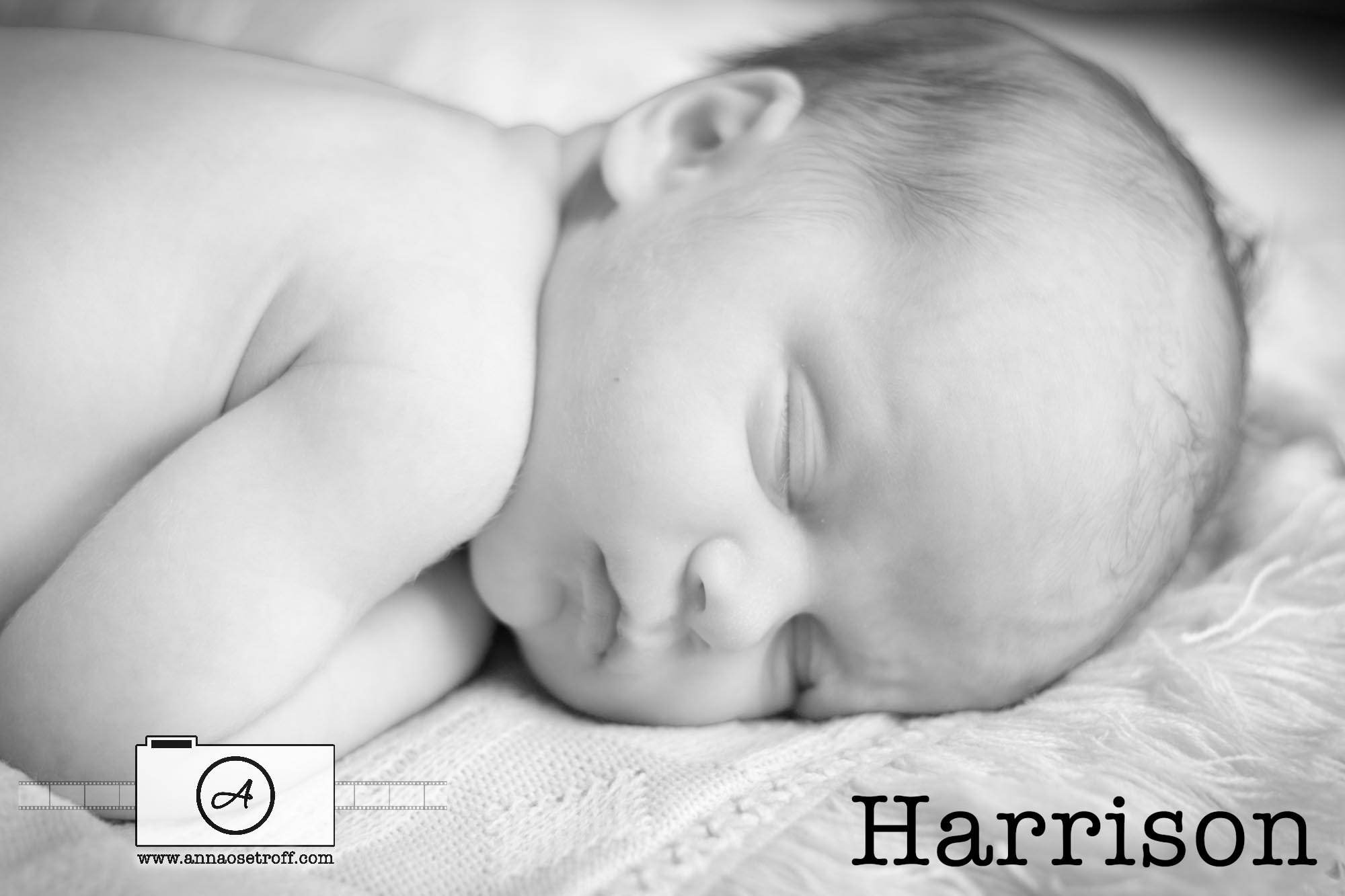 Brisbane Newborn Photographer Anna Osetroff Baby Photography Stafford Heights