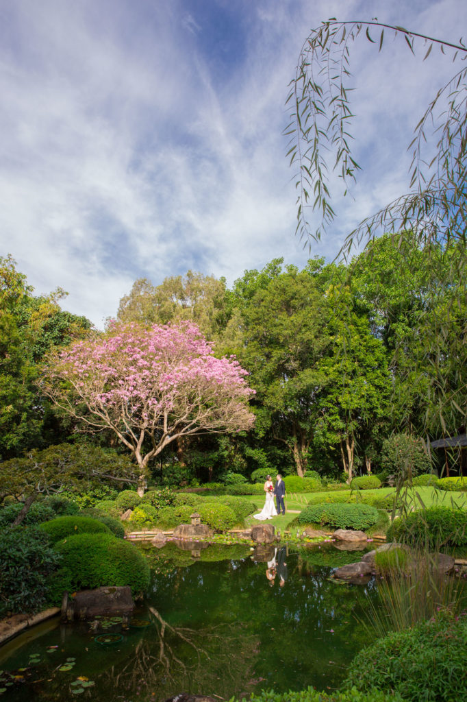 Pahia and Tom Mount Cootha Botanical Gardens Wedding Photography Anna Osetroff Brisbane Japanese Garden